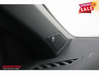 Volkswagen T-Roc 2.0 TSI 4Motion R LED ACC Beats Camera SHZ picture 24