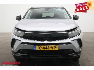 Opel Grandland 1.6 Turbo Plug-In Hybrid GS LED ACC Apple/Android LRHZ AHK picture 11