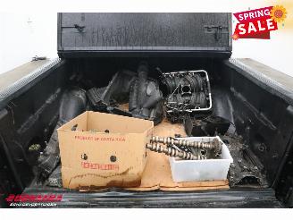 Ford USA F-150 Triton FX4 5.4 V8 LPG Aut. Leder Cruise AHK picture 6