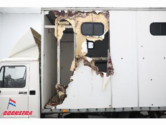 DAF  2.5 D 3-Pers 88.657 km! Pferdetransport Horsetruck picture 8