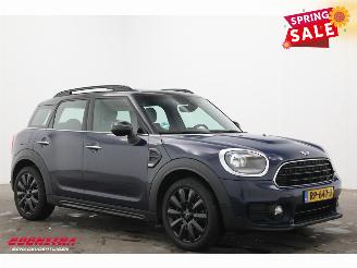 Mini Countryman 1.5 Cooper Aut. Salt Pano Navi 1e Eig. Cruise PDC picture 2