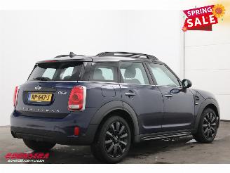 Mini Countryman 1.5 Cooper Aut. Salt Pano Navi 1e Eig. Cruise PDC picture 3