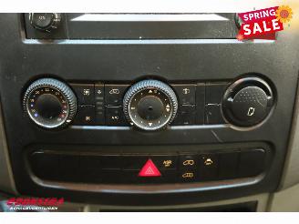 Mercedes Sprinter 519 3.0 CDI Aut. DoKa Navi Airco Cruise Camera AHK picture 21