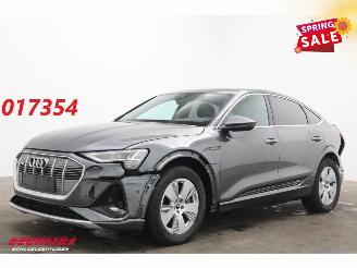 Auto incidentate Audi E-tron 55 quattro S edition 95 kWh LED ACC Apple/Android Camera SHZ 2022/12