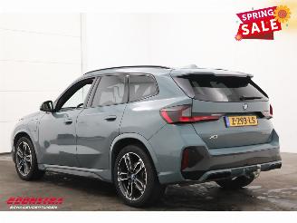 BMW X1 xDrive30e M-Sport Pano LED Leder Memory Camera AHK picture 4
