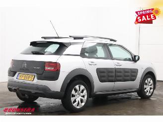 Citroën C4 cactus 1.2 PureTech Feel Navi Airco Cruise PDC AHK 68.355 km! picture 3