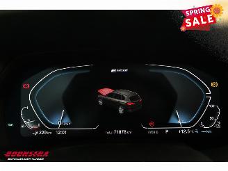 BMW X5 xDrive45e Executive Pano LED ACC H/K Camera LRHZ AHK picture 26
