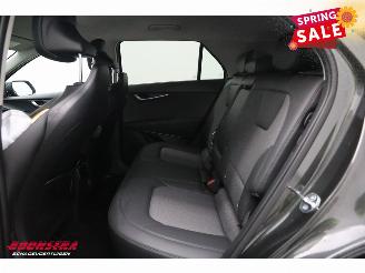 Kia Niro Light Advanced 64.8 kWh LED ACC Navi Clima Camera SHZ picture 19