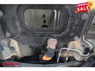 Renault Zoé R90 Intens 41 kWh (ex Accu) Navi Clima Cruise Camera picture 13