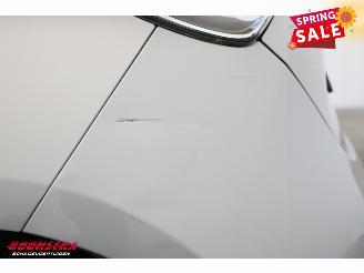 Renault Zoé R90 Intens 41 kWh (ex Accu) Navi Clima Cruise Camera picture 9