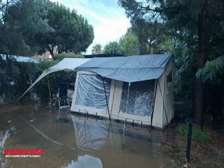   Fat Freddy BY 2023 picture 5