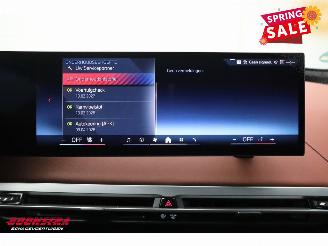 BMW iX xDrive M70 112 kWh Pano LED ACC B&W Memory 360° AHK picture 38