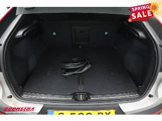 Volvo C-40 Recharge Plus 69 kWh Pano LED ACC Camera LRHZ AHK picture 35