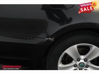 Skoda Superb Combi 1.6 TDI Greenline Ambition Memory Xenon Navi Cruise SHZ PDC picture 5