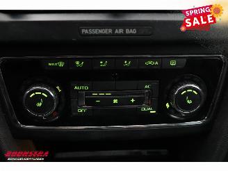 Skoda Superb Combi 1.6 TDI Greenline Ambition Memory Xenon Navi Cruise SHZ PDC picture 22