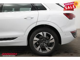 Audi Q8 55 quattro Advanced 115 kWh Pano LED ACC B&O HUD Memory 360° picture 15