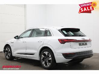 Audi Q8 55 quattro Advanced 115 kWh Pano LED ACC B&O HUD Memory 360° picture 4