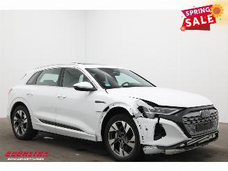 Audi Q8 55 quattro Advanced 115 kWh Pano LED ACC B&O HUD Memory 360° picture 2