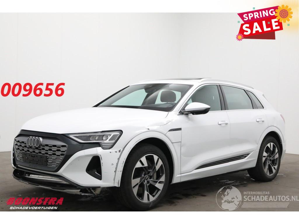 Audi Q8 55 quattro Advanced 115 kWh Pano LED ACC B&O HUD Memory 360°