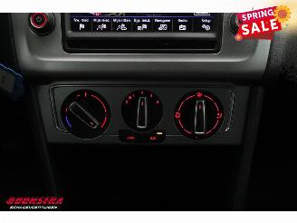 Volkswagen Polo 1.4 TDI BlueMotion 5-DRS Navi Airco Cruise PDC picture 21