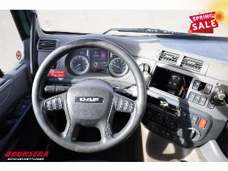 DAF CF 260 FA Aut. Kuhlkoffer Dhollandia Euro 6 picture 16