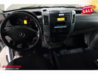 Mercedes Sprinter 516 CDI 7G-Tronic LBW Bak-Klep Airco Cruise Dhollandia picture 15