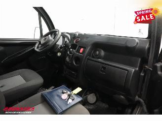 Aixam  D-Truck M12RS 400 Laadbak Radio picture 6