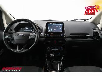 Ford EcoSport 1.0 EcoBoost Titanium Navi Clima Cruise Camera SHZ LRHZ PDC 117.062 km! picture 7