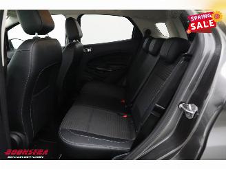 Ford EcoSport 1.0 EcoBoost Titanium Navi Clima Cruise Camera SHZ LRHZ PDC 117.062 km! picture 10