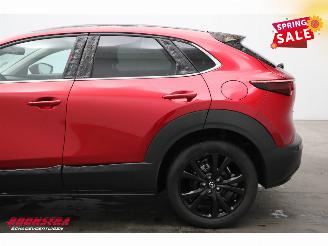 Mazda CX-30 2.0 e-SkyActiv-X M Hybrid Homura Aut. Navi Clima Cruise Camera SHZ picture 11