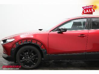 Mazda CX-30 2.0 e-SkyActiv-X M Hybrid Homura Aut. Navi Clima Cruise Camera SHZ picture 10