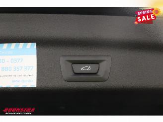 BMW iX1 eDrive20 67 kWh LED Virtual Apple/Android Camera SHZ picture 32