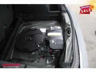 Audi RS 2.5 TFSI Quattro Pano LED ACC Virtual B&O 360° picture 11