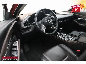 Mazda CX-30 2.0 e-SkyActiv-X M Hybrid Luxury LED ACC Bose Memory LRHZ AHK picture 12