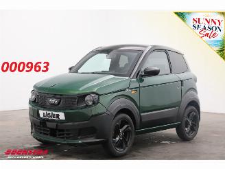Unfall Kfz Microcar Ligier  Myli I.DEAL Elektrisch 8 kWh Moped Leder Bluetooth 356 km! 2026/1