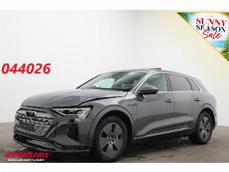 Avarii autoturisme Audi Q8 55 quattro Advanced 115 kWh Pano LED ACC HUD 360° Ventilatie LRHZ 2023/12