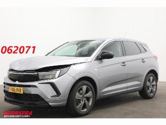 Avarii autoturisme Opel Grandland 1.2 Turbo Edition Apple/Android Virtual Cruise LRHZ SHZ AHK 2024/3