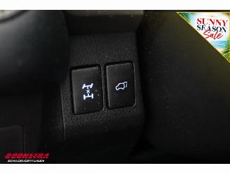 Toyota Rav-4 2.0 AUT Executive Business 4WD Cruise Clima Navi Leder SHZ Camera PDC picture 27