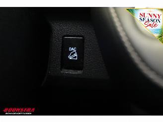 Toyota Rav-4 2.0 AUT Executive Business 4WD Cruise Clima Navi Leder SHZ Camera PDC picture 28