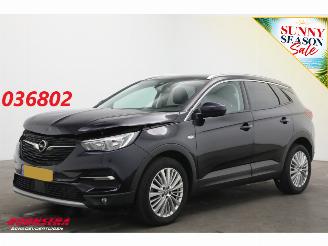 Auto incidentate Opel Grandland 1.2 Turbo Aut. Innovation LED Apple/Android Cruise Camera LRHZ SHZ 2019/1