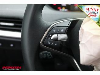 Skoda Enyaq 85 Selection LED ACC Apple/Android Camera LRHZ AHK picture 26