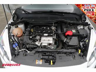 Ford Fiesta 1.0 EcoBoost ST-Line B&O Apple/Android Cruise picture 5