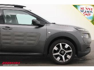 Citroën C4 cactus 1.2 PureTech Cruise Navi Clima Mulicity Connect Camera PDC picture 8