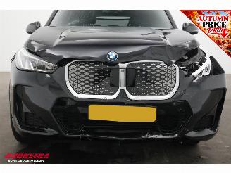 BMW iX1 eDrive20 67 kWh M Sport Pano ACC AHK Navi Clima SHZ Apple/Android Camera PDC picture 6