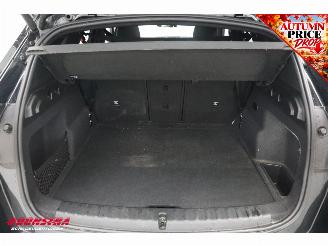 BMW iX1 eDrive20 67 kWh M Sport Pano ACC AHK Navi Clima SHZ Apple/Android Camera PDC picture 35