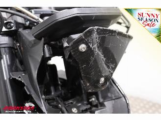 BMW  M 1000 R Competition Carbon Akrapovic LED Cruise picture 17