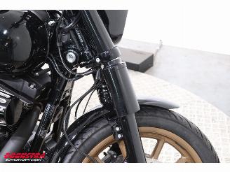 Harley-Davidson  FXDLS FXDLS Dyna Low Rider 110 Screaming Eagle ABS LED Cruise picture 11
