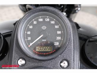 Harley-Davidson  FXDLS FXDLS Dyna Low Rider 110 Screaming Eagle ABS LED Cruise picture 13