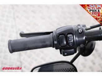 Harley-Davidson  XL 883N Sportster Iron Custom Vance Hines 24.614 km! picture 14
