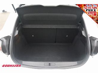 Peugeot e-208 EV Active Pack 50 kWh Cruise Navi Apple/Android PDC Clima picture 28